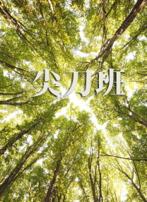 免费在线日韩av